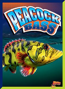 Cover Art for Peacock Bass