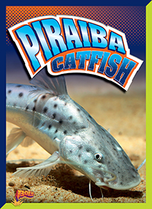Cover Art for Piraiba Catfish