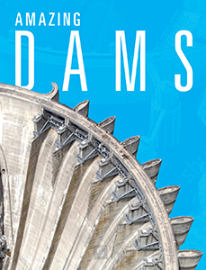 Cover Art for Amazing Dams