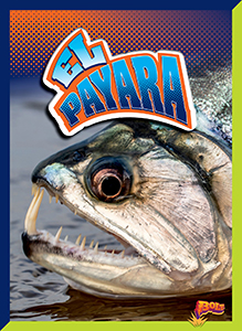 Cover Art for El payara