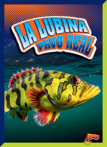 Cover Art for La lubina pavo real