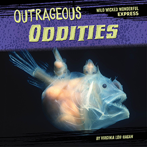 Cover Art for Outrageous Oddities