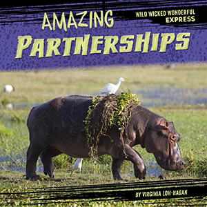 Cover Art for Amazing Partnerships