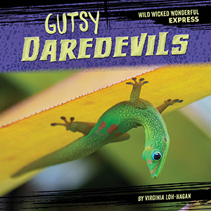 Cover Art for Gutsy Daredevils