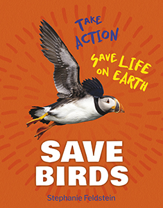 Cover Art for Save Birds