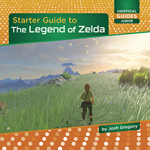 Cover Art for Starter Guide to The Legend of Zelda