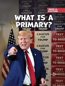 Cover Art for What Is a Primary?