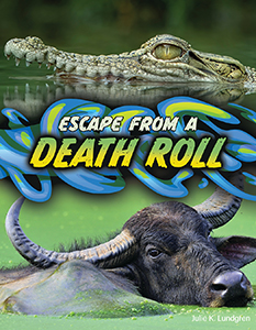 Cover Art for Escape From a Death Roll