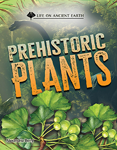 Cover Art for Prehistoric Plants