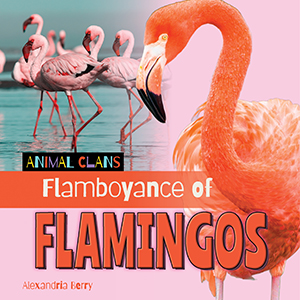 Cover Art for Flamboyance of Flamingos