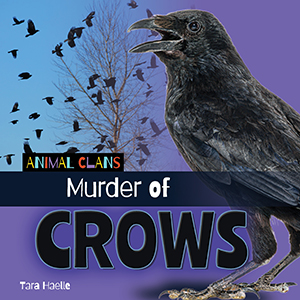 Cover Art for Murder of Crows