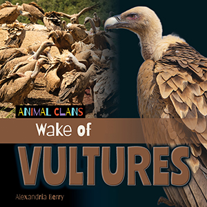 Cover Art for Wake of Vultures