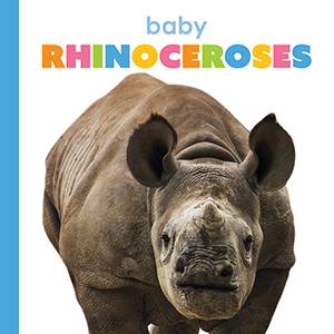 Cover Art for Baby Rhinoceroses