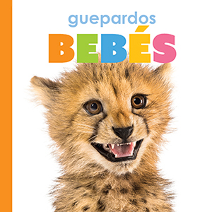 Cover Art for Guepardos bebes