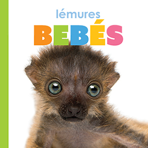 Cover Art for Lemures bebes