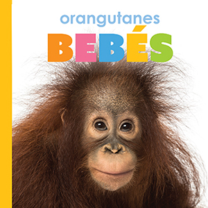 Cover Art for Orangutanes bebes