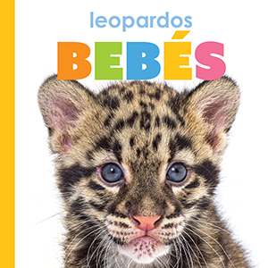 Cover Art for Leopardos bebes