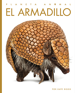 Cover Art for El armadillo