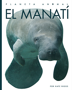 Cover Art for El el manati