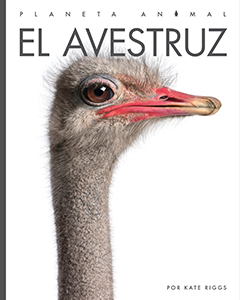 Cover Art for El avestruz
