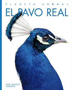 Cover Art for El pavo real