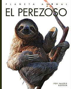 Cover Art for El perezoso