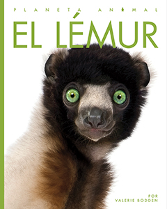 Cover Art for El lémur