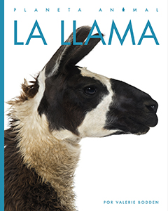 Cover Art for La llama