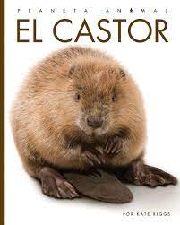Cover Art for El castor