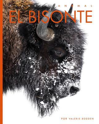 Cover Art for El bisonte