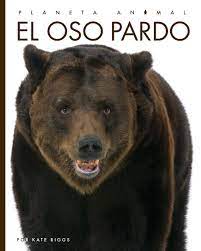 Cover Art for El oso pardo