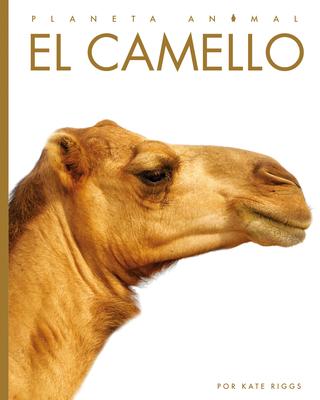 Cover Art for El camello