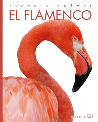 Cover Art for El flamenco