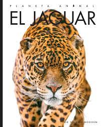 Cover Art for El jaguar