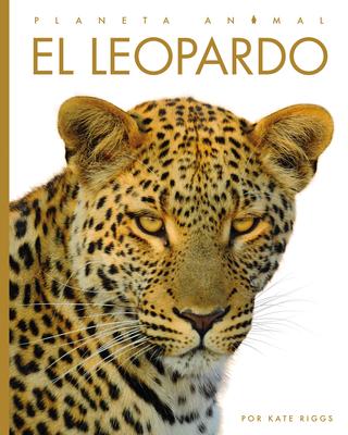 Cover Art for El leopardo