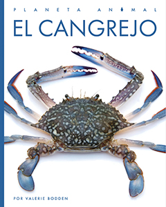 Cover Art for El cangrejo