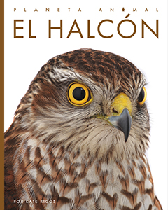 Cover Art for El halcón
