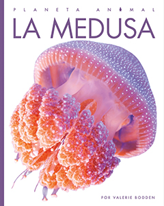 Cover Art for La medusa