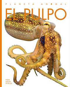 Cover Art for El pulpo