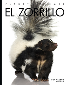 Cover Art for El zorrillo