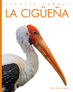 Cover Art for La cigüeñas