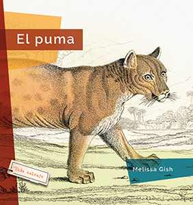 Cover Art for El puma