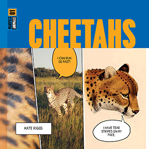 Cover Art for Cheetahs