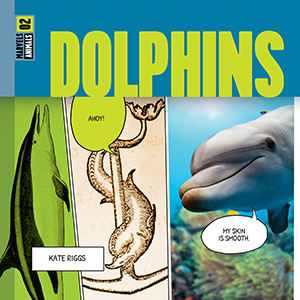 Cover Art for Dolphins