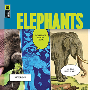 Cover Art for Elephants