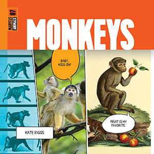 Cover Art for Monkeys