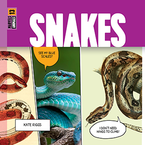 Cover Art for Snakes