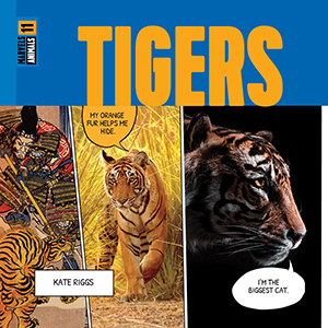Cover Art for Tigers