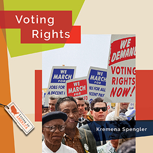 Cover Art for Voting Rights