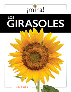 Cover Art for Los girasoles